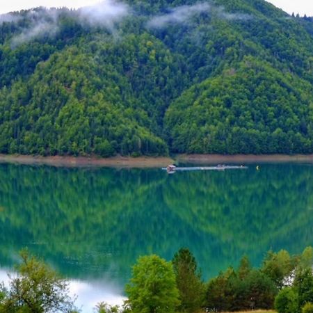 Tara Land Lake Zaovine Экстерьер фото